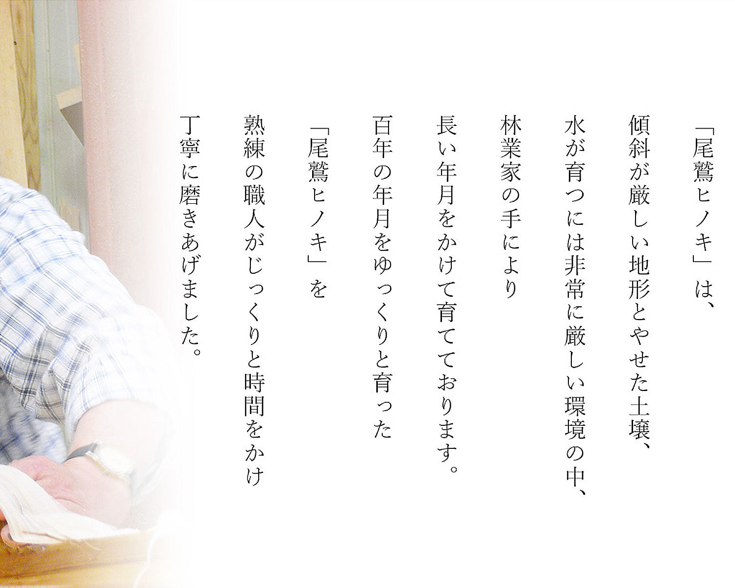 ORANGE APRON 尾鷲ヒノキ 木製まな板 35x17.5x1.6cm (JAN:4976416037014)