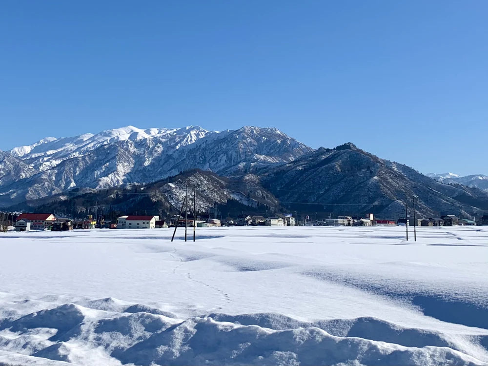 新潟県