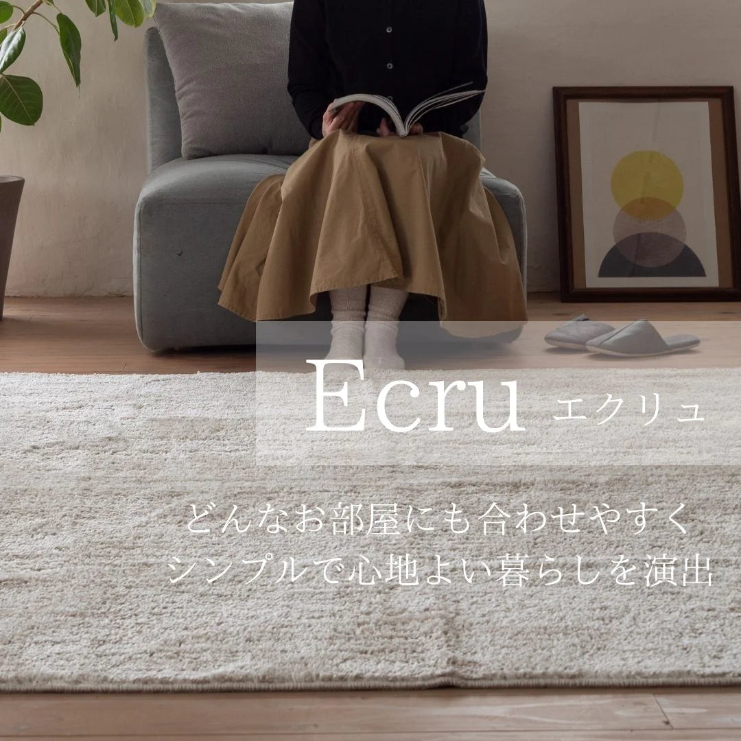 スミノエ Ecru エクリュ ラグ ポリエステル100％ 洗える オールシーズン 滑り止め 1.5畳 2畳 3畳 洗濯 防ダニ ホットカーペット・床暖房OK 日本製