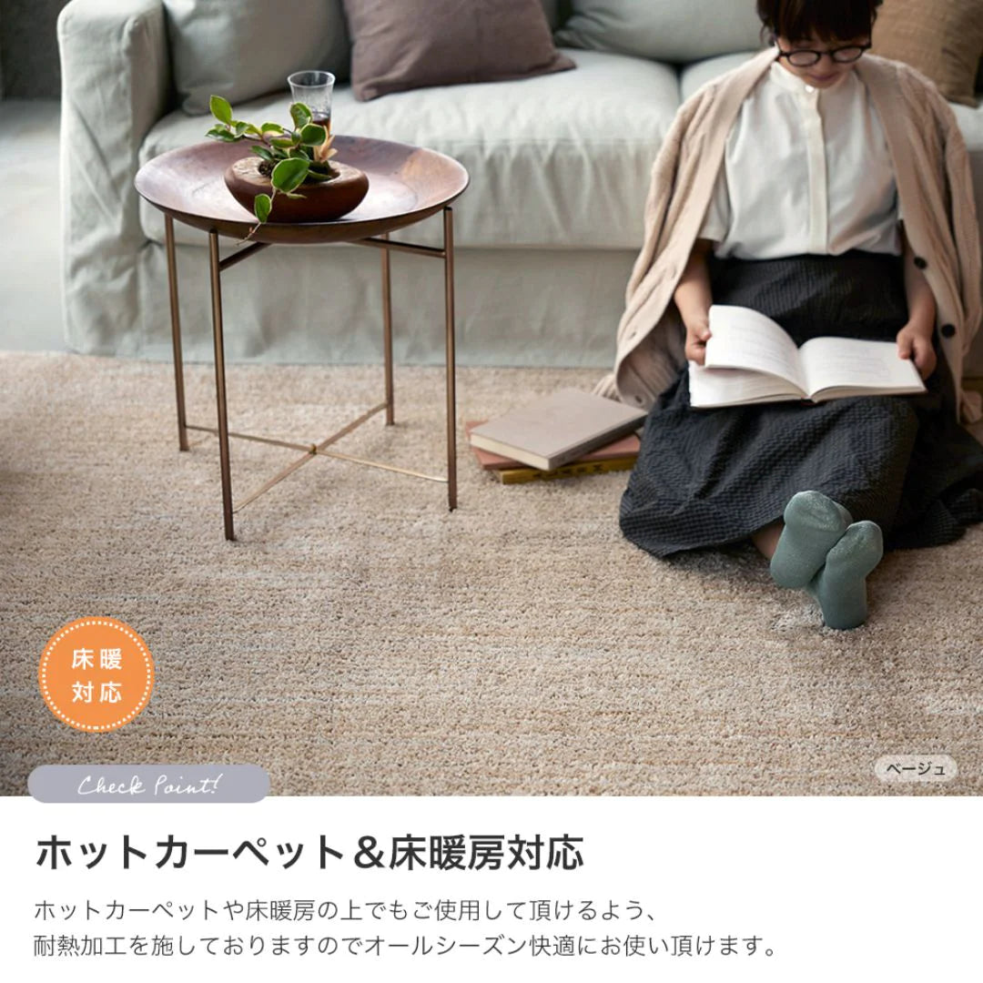 スミノエ Ecru エクリュ ラグ ポリエステル100％ 洗える オールシーズン 滑り止め 1.5畳 2畳 3畳 洗濯 防ダニ ホットカーペット・床暖房OK 日本製