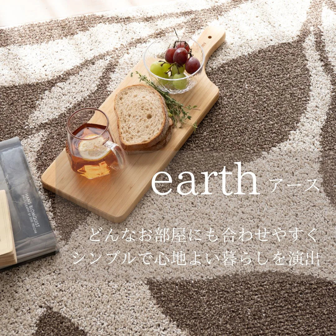 スミノエ earth アース ラグ ポリエステル100％ 防音 消臭 防ダニ ホットカーペット・床暖房OK 日本製