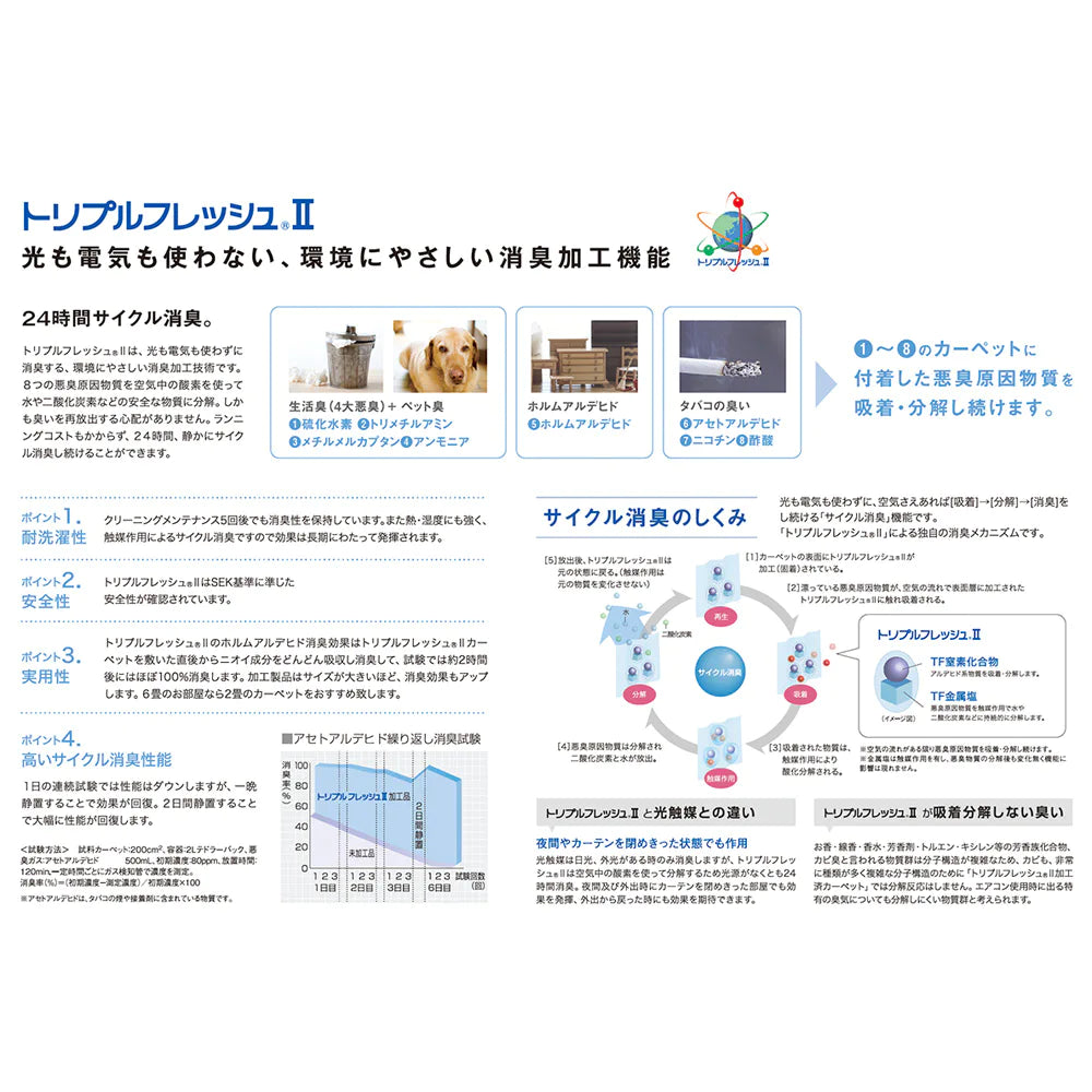 スミノエ earth アース ラグ ポリエステル100％ 防音 消臭 防ダニ ホットカーペット・床暖房OK 日本製