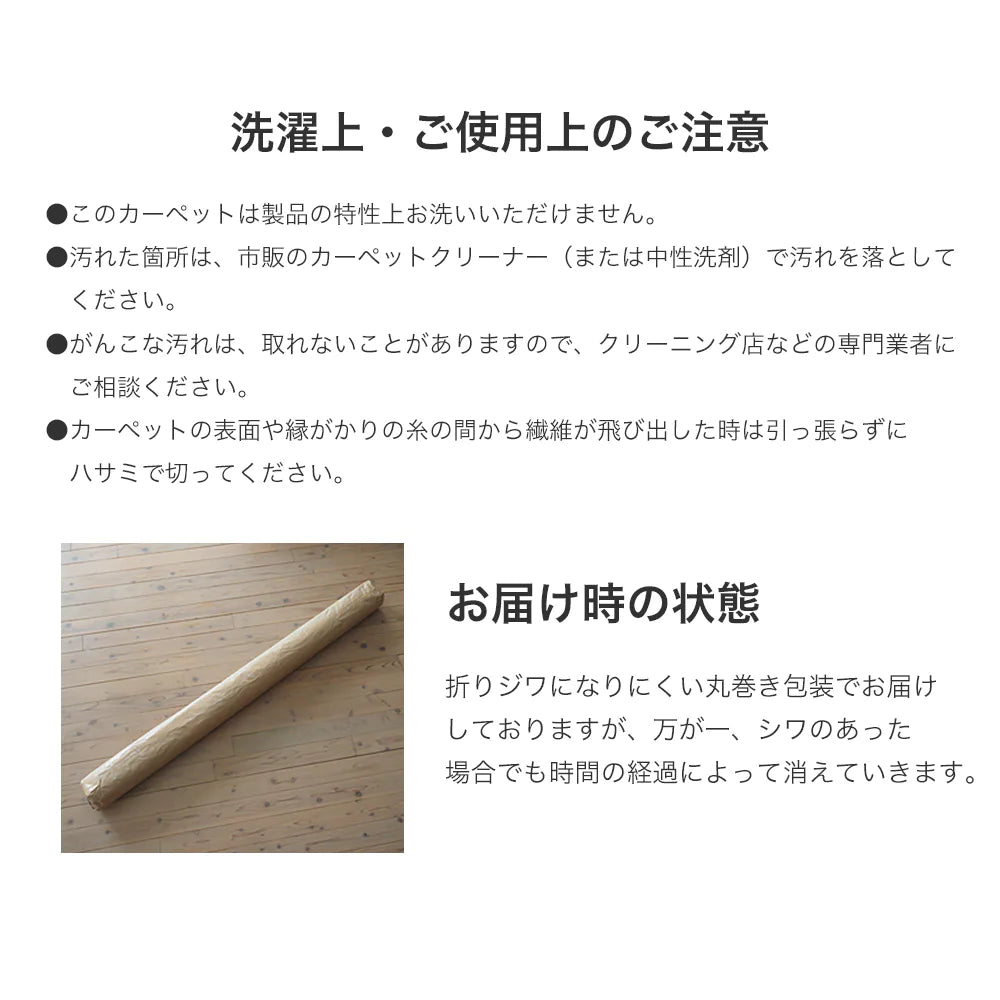 スミノエ earth アース ラグ ポリエステル100％ 防音 消臭 防ダニ ホットカーペット・床暖房OK 日本製