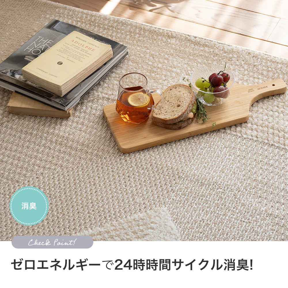 スミノエ novel ノベル ラグ ポリエステル 洗える 消臭 オールシーズン 滑り止め ホットカーペット・床暖房OK 日本製