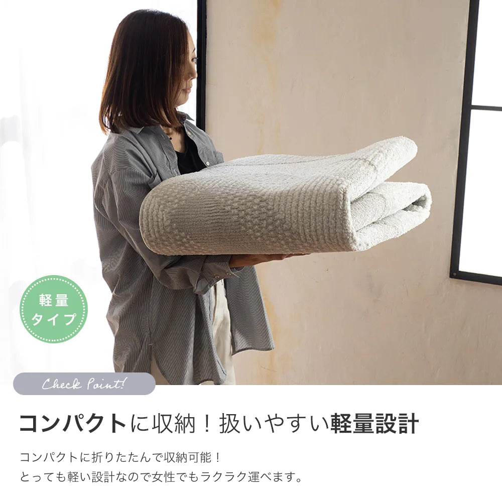 スミノエ novel ノベル ラグ ポリエステル 洗える 消臭 オールシーズン 滑り止め ホットカーペット・床暖房OK 日本製