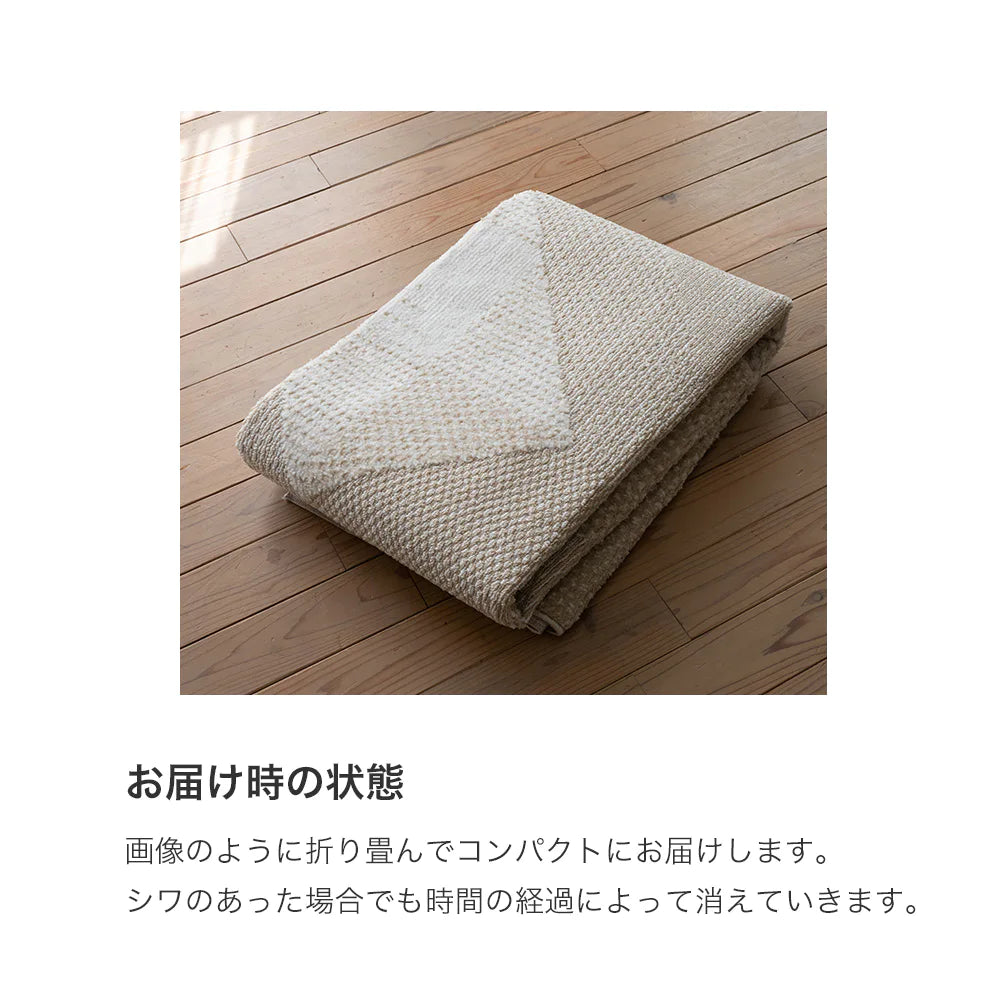 スミノエ novel ノベル ラグ ポリエステル 洗える 消臭 オールシーズン 滑り止め ホットカーペット・床暖房OK 日本製