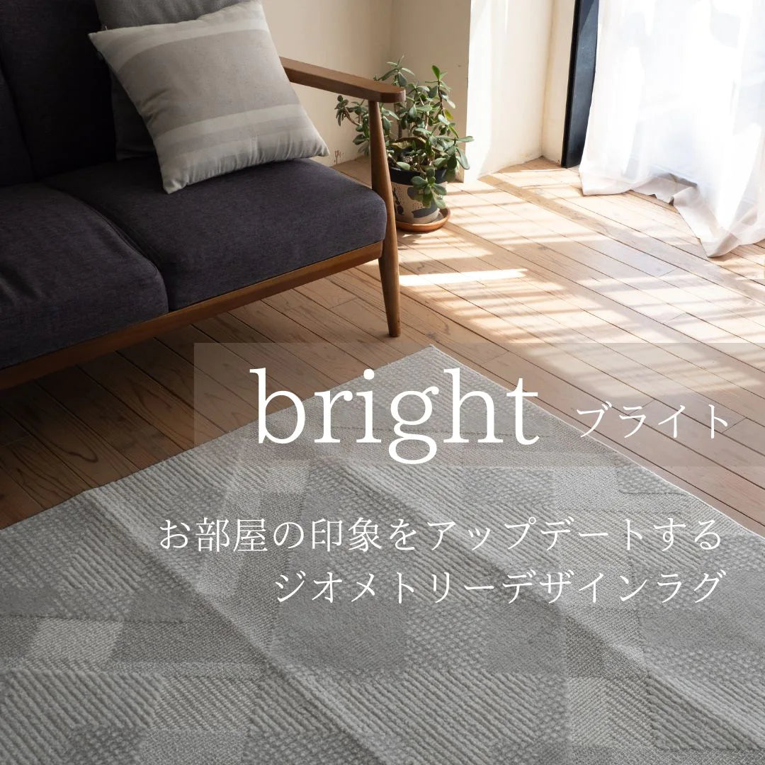 スミノエ bright ブライト ラグ ポリエステル 洗える 消臭 オールシーズン 滑り止め ホットカーペット・床暖房OK 日本製