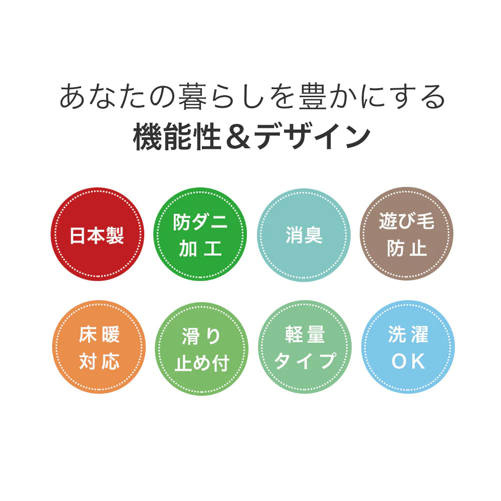 スミノエ bright ブライト ラグ ポリエステル 洗える 消臭 オールシーズン 滑り止め ホットカーペット・床暖房OK 日本製