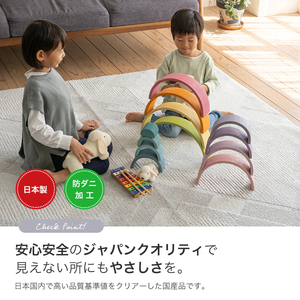 スミノエ bright ブライト ラグ ポリエステル 洗える 消臭 オールシーズン 滑り止め ホットカーペット・床暖房OK 日本製