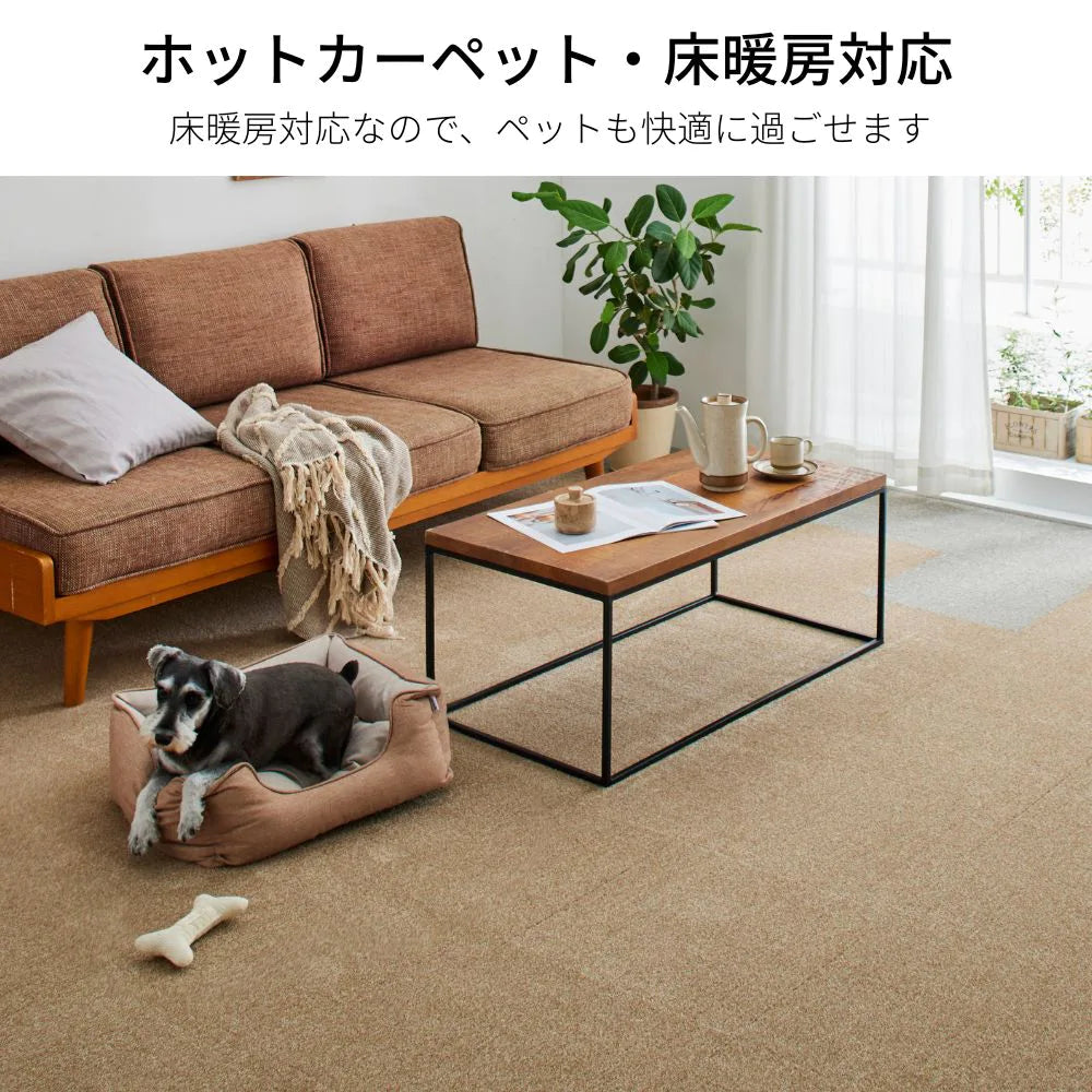 【10枚入/1箱】スミノエ タイルカーペット ソフトフィール カットパイル 40×40 防音 ペット ラグ 犬 洗える 11㎜ 滑り止め床暖房OK 日本製