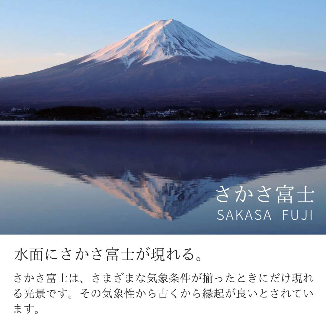 ナガエ 銀雅堂 さかさ富士 錫製 酒器 選べる3種類 猪口(30ml) 盃(62ml) ぐい呑み(120ml) 日本酒 富士山 割れない 日本製