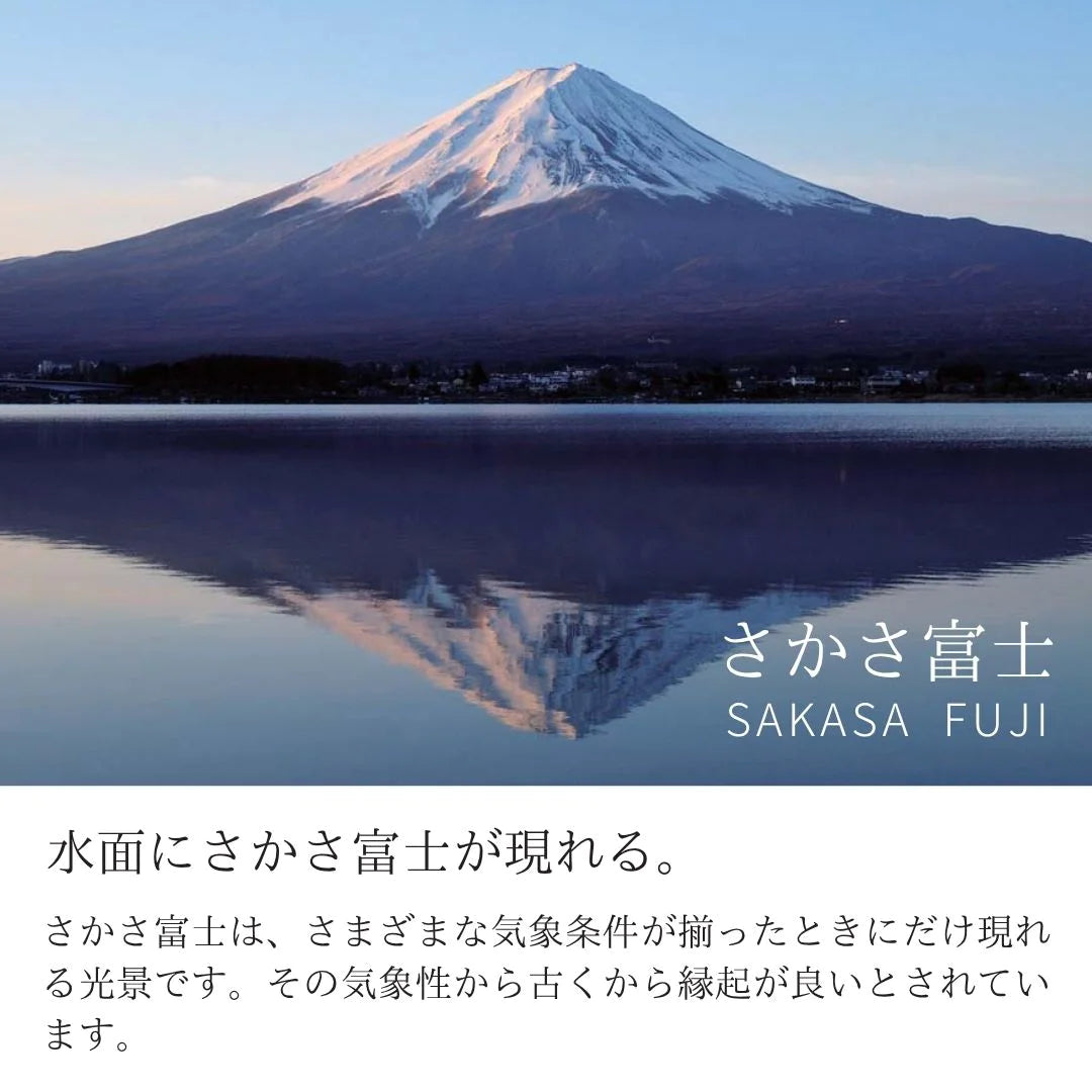 ナガエ 銀雅堂 錫製 ビールグラス 泡雲 酒器 180ml (単品/2個セット) 富士山 雲海 割れない 日本製