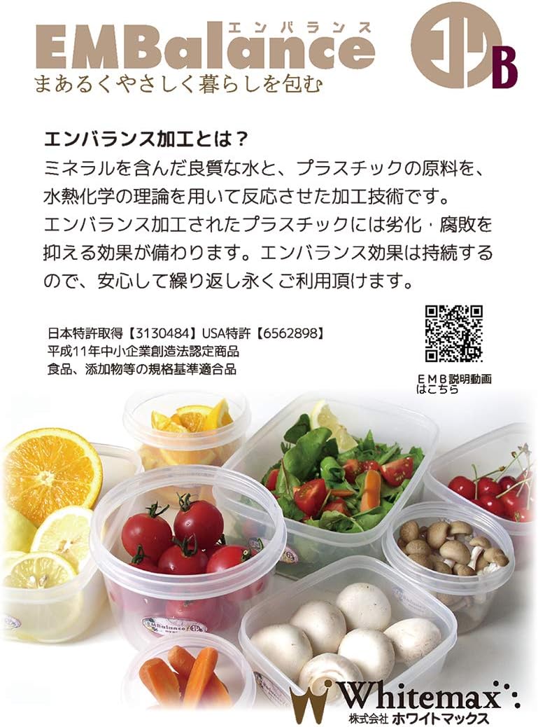エンバランス 保存容器 大容量 フードコンテナ 6L 2コセット 日本製