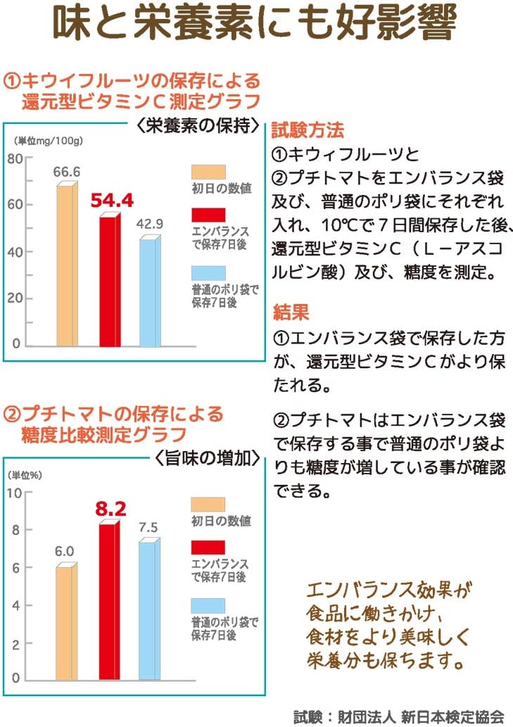 エンバランス 保存容器 大容量 フードコンテナ 6L 2コセット 日本製