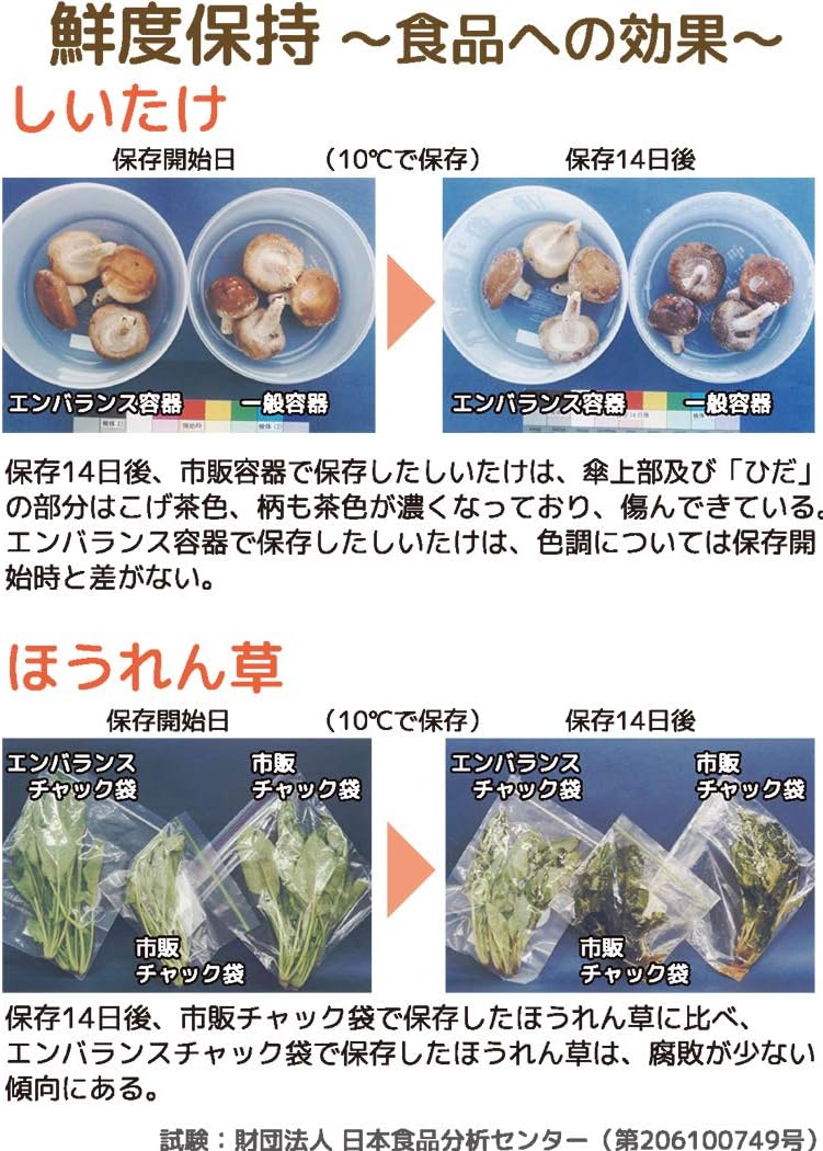 エンバランス 保存容器 大容量 フードコンテナ 6L 2コセット 日本製