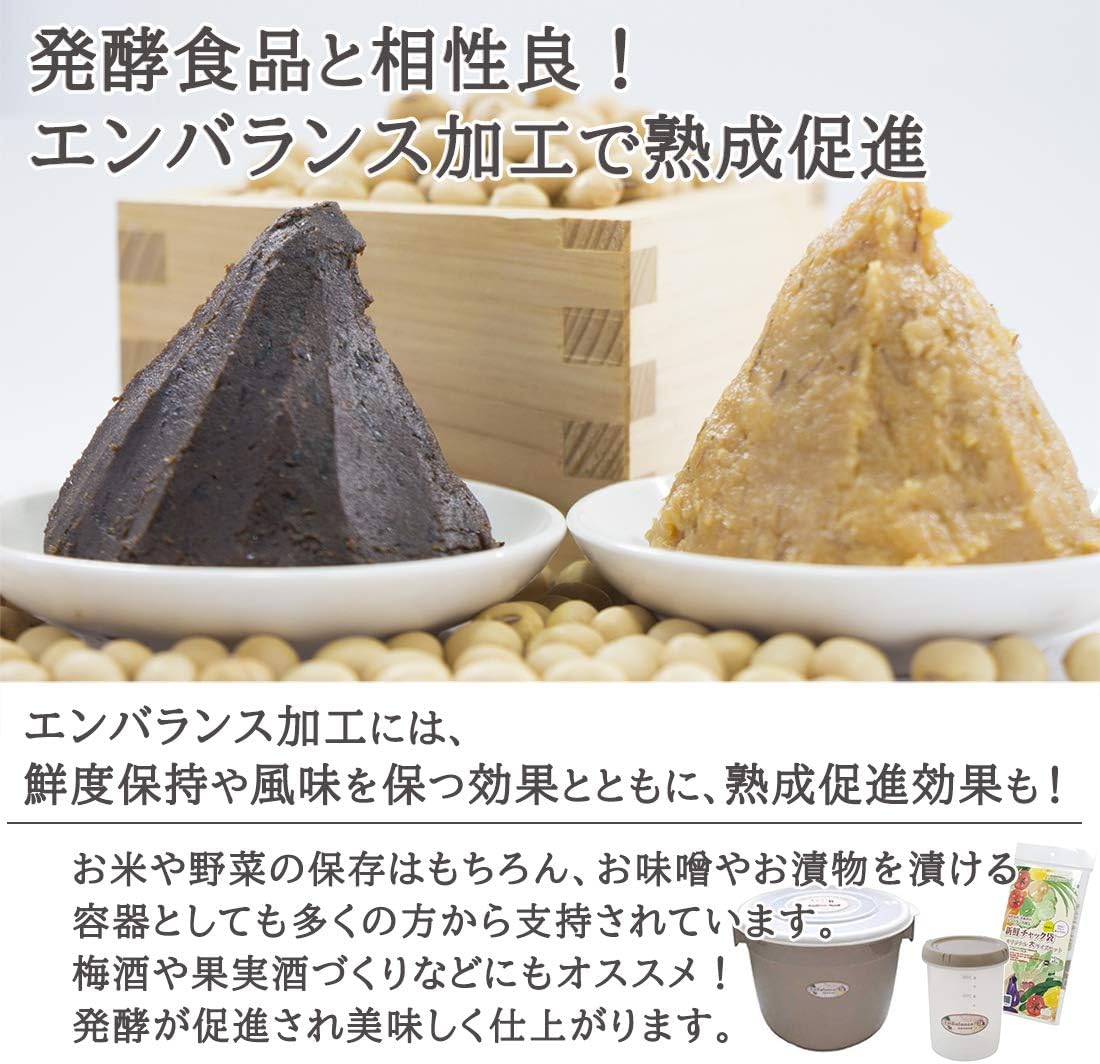 エンバランス 保存容器 大容量 フードコンテナ 6L 2コセット 日本製