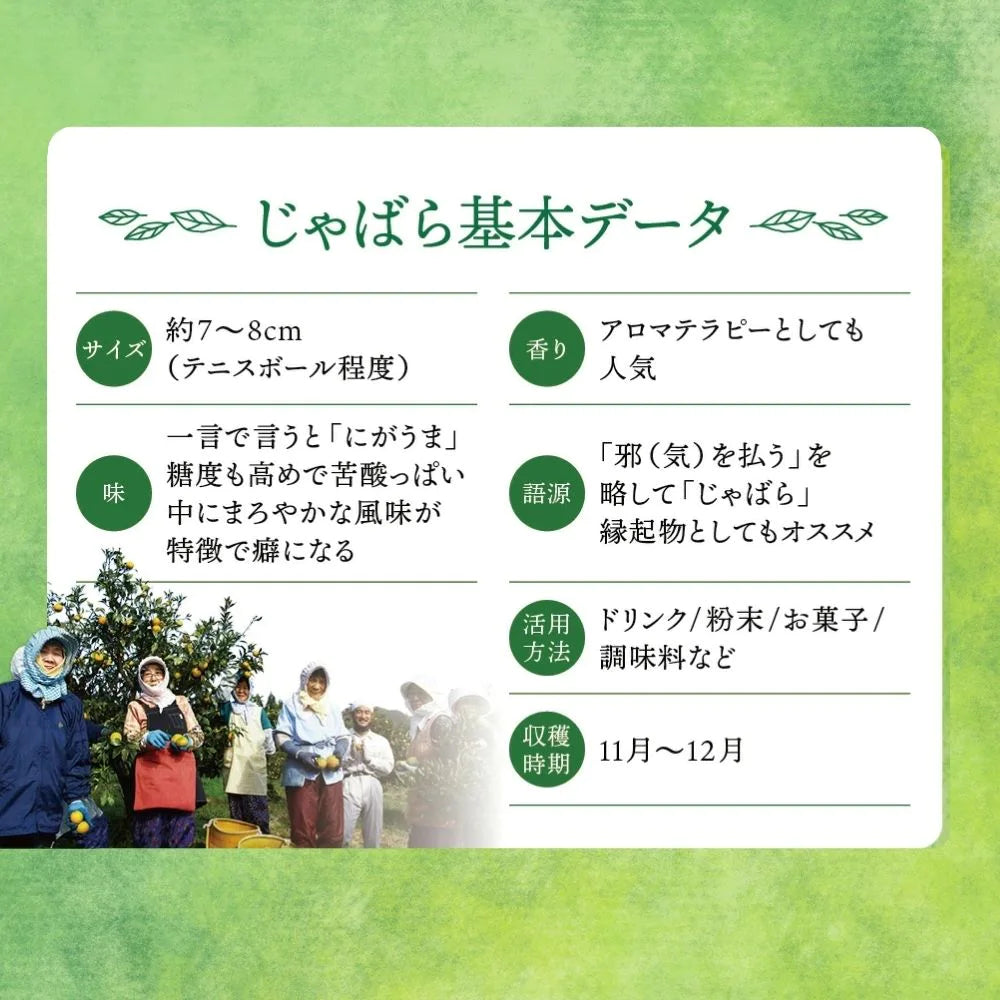 じゃばらいず北山 じゃばらキャンディ 邪払 柑橘 フルーツ のど飴 個包装 無添加 北山村 濃縮果汁