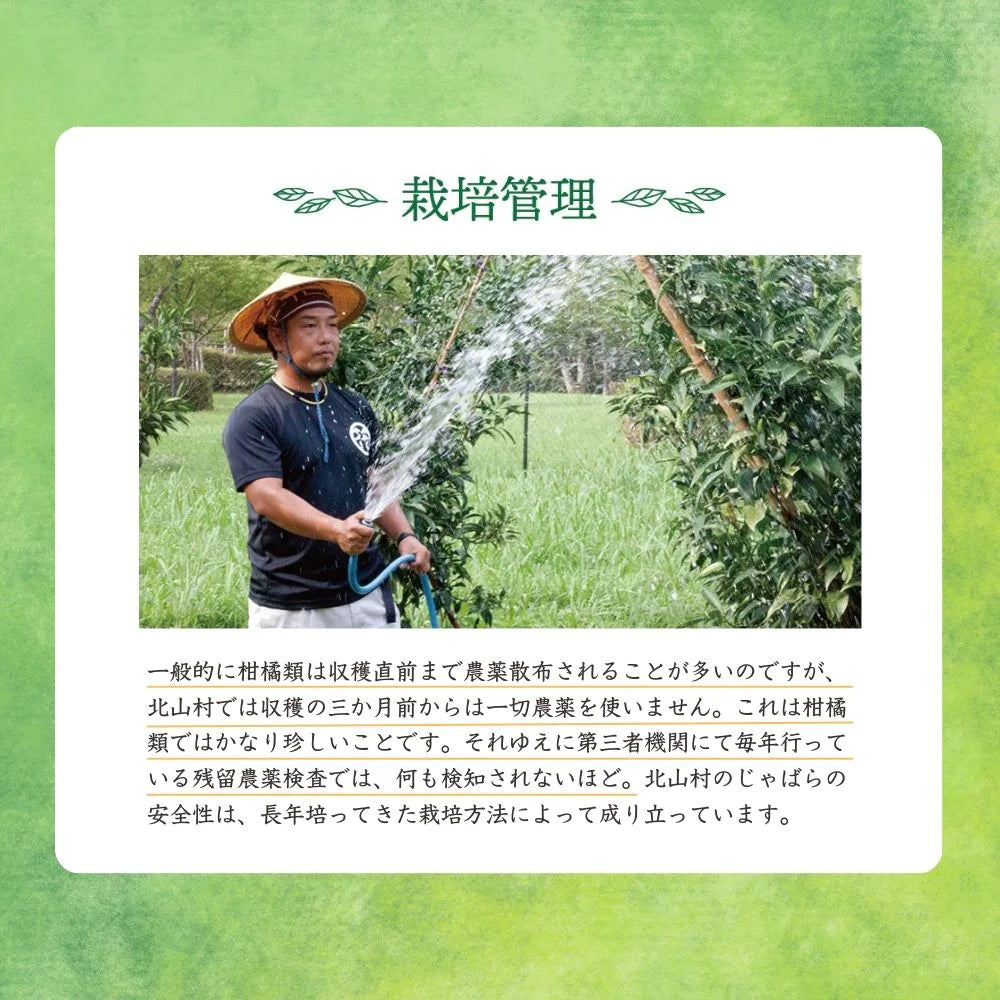 じゃばらいず北山 じゃばらキャンディ 邪払 柑橘 フルーツ のど飴 個包装 無添加 北山村 濃縮果汁