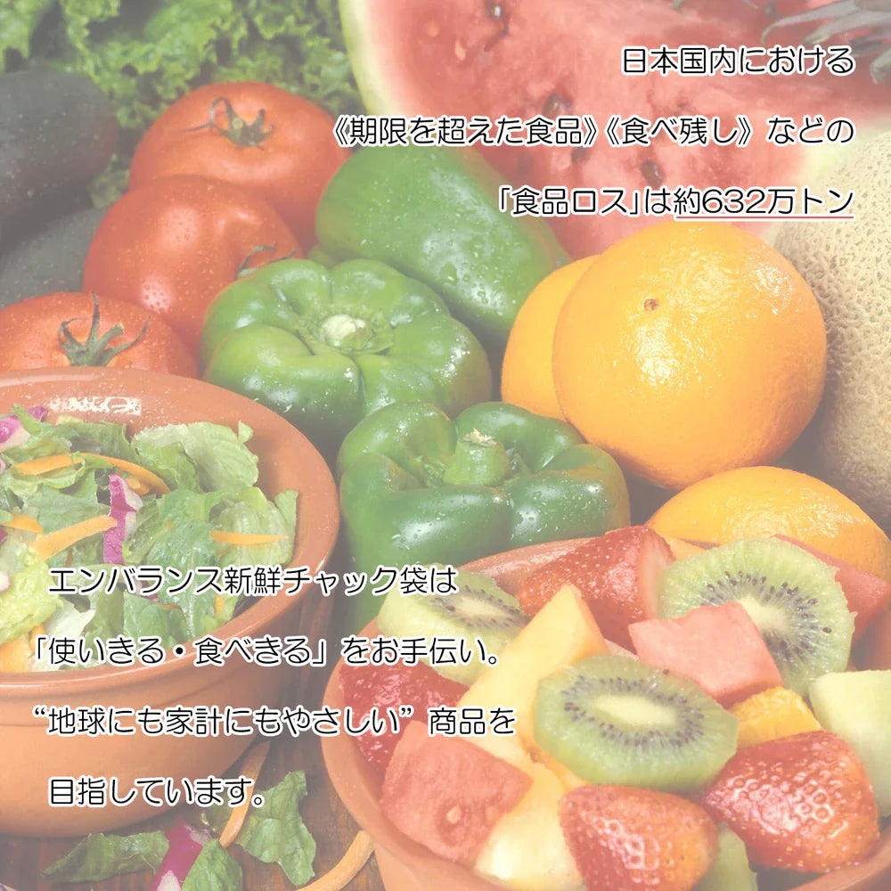 【ジッパーバッグ2枚おまけ付き！】 エンバランス 食品 保存容器 クリアコンテナバラエティー 3点セット (XS×2/M×1) 日本製 (JAN:4976416021778)